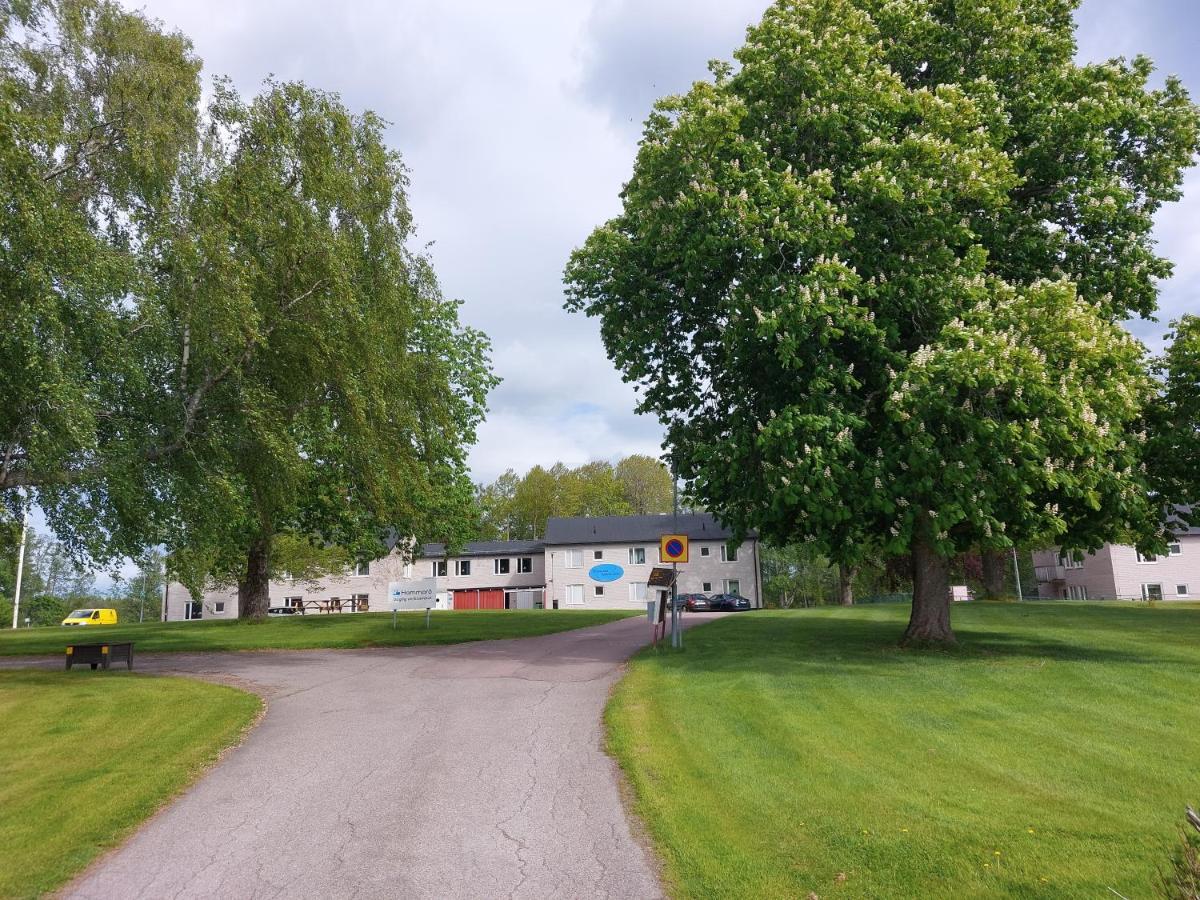 Hammaroe Vandrarhem Exterior foto